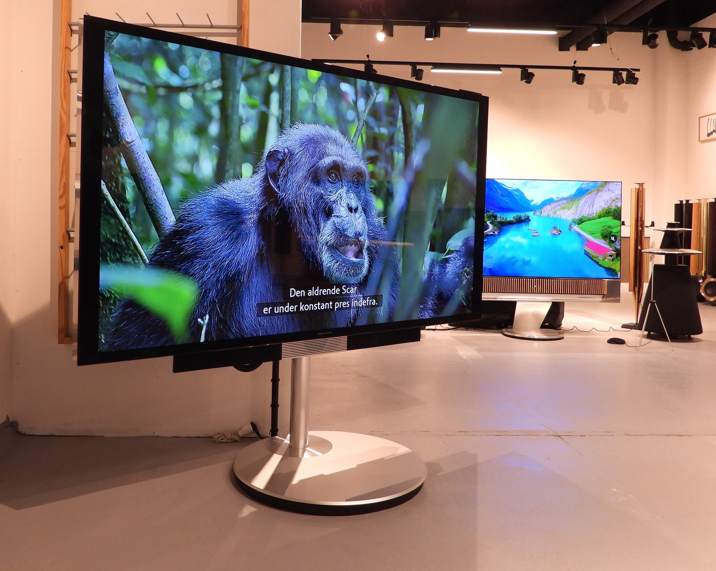 BEOvision Avant 75" med motorstand