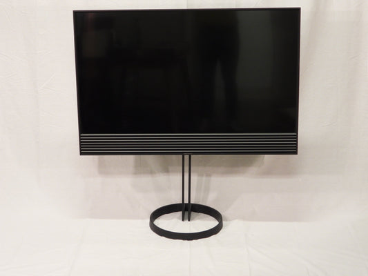 BEOvision Horizon 48"
