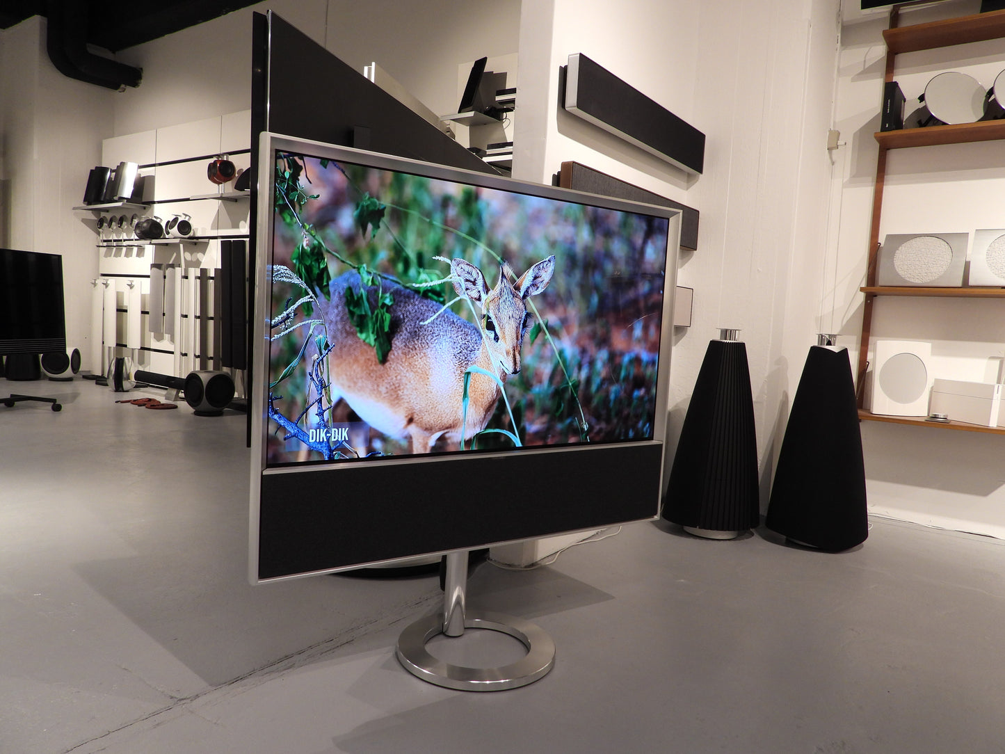 BEOvision Contour 48"Aluminium