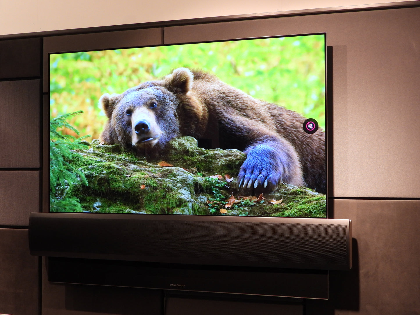 BEOvision Eclipse 55" med fabriksny display