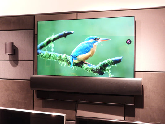 BEOvision Eclipse 55" med fabriksny display