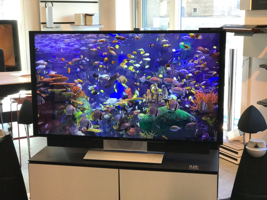 BEOvision Avant 55" med Motor Gulvstand eller vægbeslag
